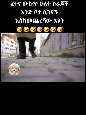 A post by @movie_scene.et on TikTok caption: #foryou 😁🤣#Ethiopia