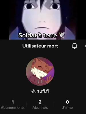 A post by @.clan____hetero on TikTok caption: 🕊@.nufi.fi🕊 #pourtoi #fyp #foryou #nufi #rip #3notifs