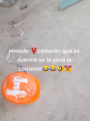 A post by @doriloco31 on TikTok caption: Hola saludos y vendiciones AMIGOS🥰🇲🇽🤠💯🍻🍻🍻🍻🍻9️⃣9️⃣➕