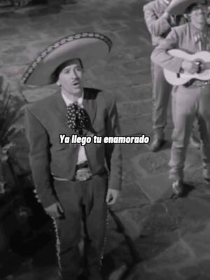 A post by @.pedroinfante on TikTok caption: #fyp #pedroinfante #tuenamorado