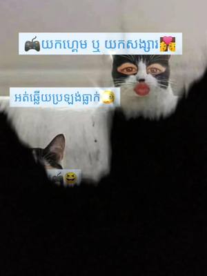 A post by @fan__boy__jimin21 on TikTok caption: យកហ្គេម ឬ យកសង្សារ🌚#នាទីធ្លាក់like💔🙃 #ផុសអត់អ្នក__like🙃