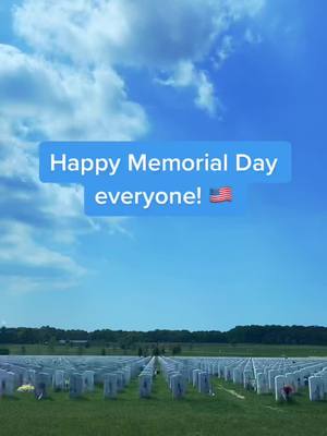 A post by @starwarslego101 on TikTok caption: #memorialday #america #fyp