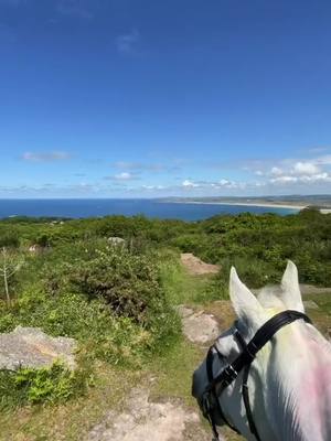 A post by @tia.caitlin on TikTok caption: Never in a million years did I think I’d be out for almost 3 hours just me and my horse, such an incredible feeling, the best girl🥰she’s still multicoloured from the powder paints on Sunday which the photos failed massively🤣but we’re working on getting her grey again before Saturday(birthday girl), ready to attempt our first show local on Sunday🫣 #foryou #fyp #views #hacking #horsesoftiktok #foryou #sunnydays #greymare #horses