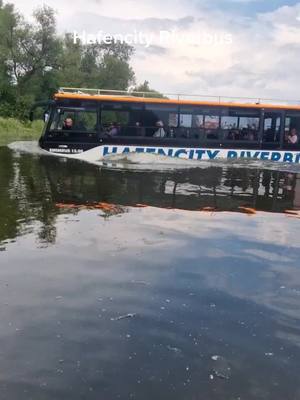 A post by @_i_l_o_n_a_91 on TikTok caption: 🌊🚍#riverbus #hamburg #fy