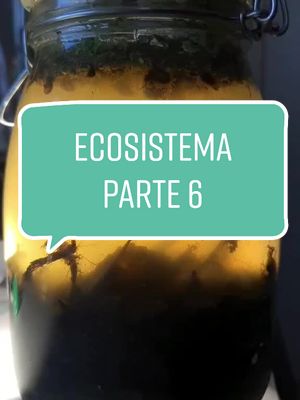 A post by @vianoide on TikTok caption: #intruso #uovo #ecosfera #ecosistema #ecosphere #animale #cosaextraña #guardacosahotrovato #animali #stagno