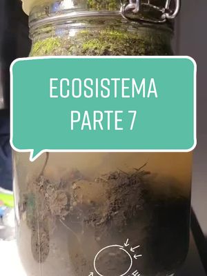 A post by @vianoide on TikTok caption: #aggiornamento #intruso #ecosistema #ecosfera #ecosphere #acquario #verme #parassita #esperimento #vita