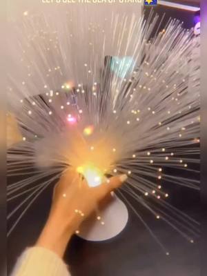 A post by @ledlight281 on TikTok caption: #opticalfiberlamp #fiberopticalight #opticlight #tiktoktoy #fypシ