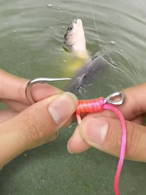 A post by @angler_family on TikTok caption: #luya #fishing #fish