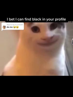 A post by @your..profile.is.black on TikTok caption: Reply to @nae.rl sorry I have not posted in a while I have been sick with Covid and the flu 😷 #viral #fyp #ibet #black #followformore #pbsfs #xyzbca #sick