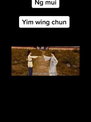 A post by @_wingchun_ on TikTok caption: #wingchun #kungfu #fight #China #Ngmui#Yimwingchun