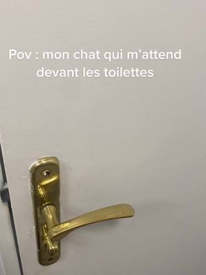 A post by @pacha_caramel on TikTok caption: Intimité ? On oublie quand on a un chat 🥹