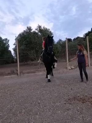 A post by @chiara.vitali on TikTok caption: 🖤 #friesian #friesianhorse #passospagnolo #equestrian #equitazione #cavallichepassione #viral #fyp #perte #seguiti #equestriangirl #altascuolaspagnola