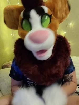 A post by @sweet_pumpkinhooves on TikTok caption: which ones do you know? #furry #furries #fursuit #fursuiter #justasoftbabo #just_a_soft_babo #sweet_pumpkinhooves #sweetpumpkinhooves #AmazonMusicProudHeroes #MakeNightsEpic #CatchChobaniOatmilk #fyp