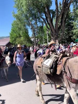 A post by @emoser33 on TikTok caption: 2022 Donkey Dash #littlelegs #fyp #coloradocheck #rockymountains #getoutside #thinkoutside #donkeysoftiktok #burroracing #travel #animalsoftiktok #donkeytok