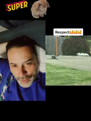 A post by @joseeduard1975 on TikTok caption: #duet with @respect._videos._ #respect #possitive #videos #tiktok #followme #siganme #fyp #fypシ