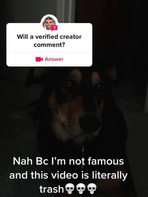 A post by @animals_and_animals1 on TikTok caption: #answer to @not_jacoblooker #verifiedcreator