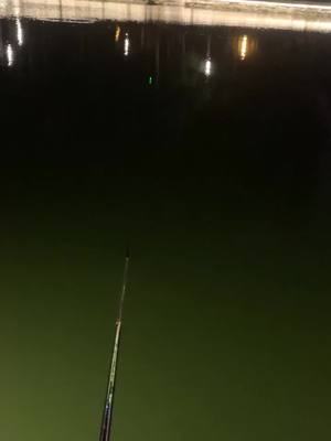 A post by @globalseafishing on TikTok caption: Night,leisure,relaxation,friends #lure #fishing #lures #lurefishing #fishtok #fishingtiktoks #fishingrod