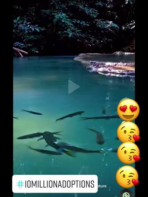 A post by @almatorres4740 on TikTok