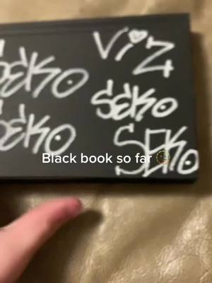 A post by @sekotaggs on TikTok caption: #graff #tagging #graffiti #tag #StJudeDadPhotos #fyp #foryou #seko #blackbook#mid#so#far