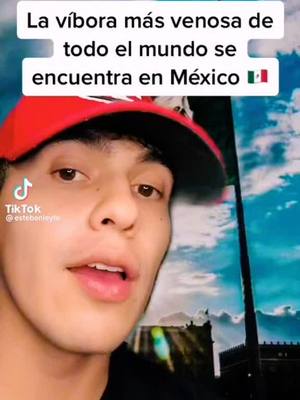 A post by @juangudinof05 on TikTok caption: la víbora de la tía maga #viejaloca