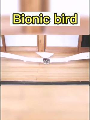 A post by @amotaos on TikTok caption: Bionic bird！nice invention#drone#DJI#dronevideo#toy#fypシ#toyplane#airplane#photography#foryou