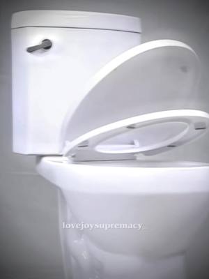 A post by @lovejoysupremacy_ on TikTok caption: when they liked being pissed on 😍😍 #edit #toilet