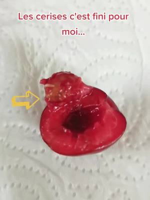 A post by @myleneetlilie on TikTok caption: 🤢🤮🍒🐛 La mauvaise surprise... Plus jamais je mange des cerises...