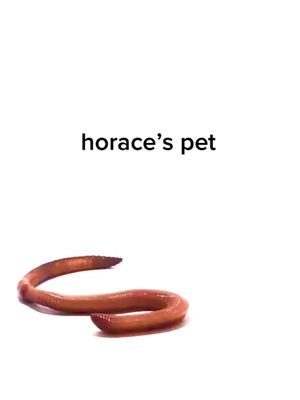 A post by @jqgray on TikTok caption: horace got a pet