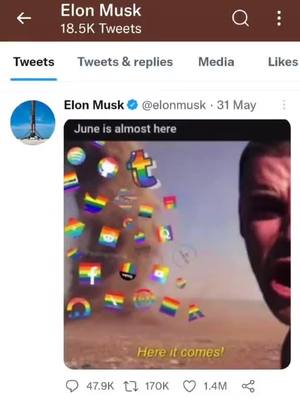 A post by @twitch.vcixe on TikTok caption: #elonmusk #fyp #fyppppppppppppppppppppppp