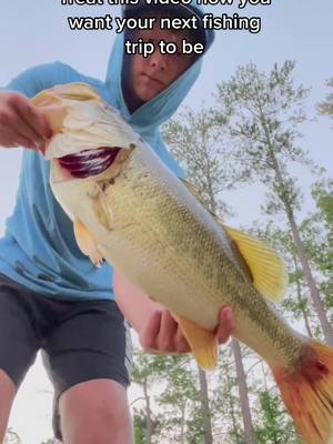 A post by @carterisfishing on TikTok caption: #greenscreen #greenscreenvideo #carterweaver #fyp #fishing#bass#fish #fishtok