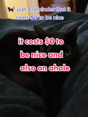 A post by @ashiandfrida on TikTok caption: it costs $0 to be nice and also $0 to be an ahole 🐈‍⬛🐈😂 #ashiandfrida #banter #BeNice #ornot #funnyvideos #funnycat #Siblings #foryoupage #fyp #blackcatsaregoodluck #blackcats #cutecatsoftiktok #ItsGreatOutdoors #filinefriends #blackcats #tinypanther #AmazonMusicProudHeroes  #fridathecat #ashitaka #ashitakathecat