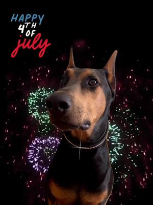 A post by @keena0419 on TikTok caption: #happy4thofjuly #independenceday #hotdog #zeusbag #doberman #dogs