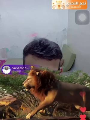 A post by @david.top.1.33 on TikTok caption: Reward the excellent anchor of the league to make the lion run.@tiktok @kkkkrem804