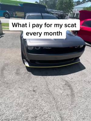 A post by @benfrmlr on TikTok caption: Could you afford a scat?🤔#fypシ #fyp #foryou #foru #foryoupage #scatpack #hemi #mopar #widebody #392 #srt #cartok #challenger #dodge #cars #cartiktok #carsoftiktok #392scatpack