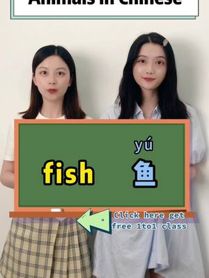 A post by @followmelearnchinese on TikTok caption: Study Chinese with me！click the link in bio get free 1on1 class！#Chinese #LearnOnTikTok #mandarin #studyChinese #languagelearning #chineseforkids #fyp #foryou #hsk