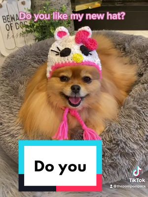 A post by @thepompompack on TikTok caption: #capcut