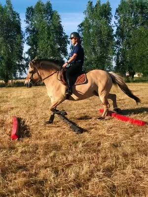 A post by @lez_a_cheval on TikTok caption: Je sais je ne suis pas bien assise mais je n’ai pas une selle de dressage #dressage #equitation #cheval