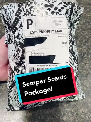 A post by @freshiesbyturtle on TikTok caption: New molds from Semper Scents! #freshiesinthemaking #freshies #smallbusinesscheck #freshiemolds #carfreshies #unboxing #happymail #semperscents #fypシ