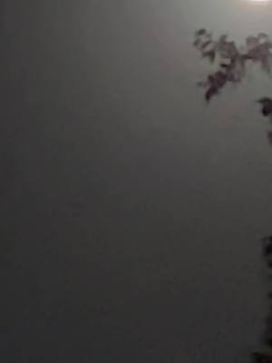 A post by @deannorris6 on TikTok caption: Full moon