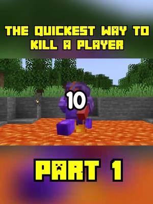 A post by @thelevelssmp on TikTok caption: The Quickest Way To Kill A Player #Minecraft #minecraftsmp #mcyt #levelsmp