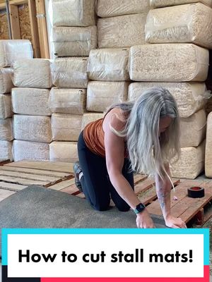 A post by @informedequestrian on TikTok caption: I had no idea it was this easy! 🤯 #horses #horsegirl #horselife #barnlife