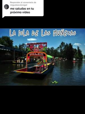 A post by @thedarkside3222 on TikTok caption: Responder a @miguelescaleragut la isla de las muñecas de México #lugares  #isladelasmuñecas  #mexico #xochimilco #leyendas #perturbador #muñecas #aterrador