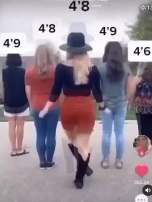 A post by @memehub.4536 on TikTok