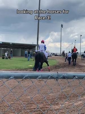 A post by @craftyschleichqueens on TikTok caption: let's go 4!! #wyominghorseracing #craftyschleichqueens