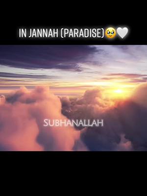 A post by @quranpurity on TikTok caption: in jannah🥹🤍 #jannah #allahreminder #islamreminder #muslimtiktok #allah100k #deen #muftimenk #shadowban #muslimreminder #afterlife