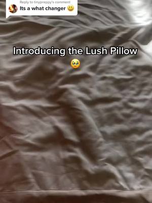 A post by @lushpillow on TikTok caption: Replying to @tinypreppy  this is pillofect 😵‍💫