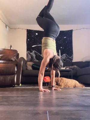 A post by @casijackson11 on TikTok caption: Playing around with some handstand shapes + my little cheerleader 🐶 #handstand #handstandshapes