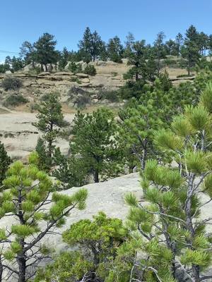 A post by @jacoreyfisher3 on TikTok caption: #billingsmt #nature #Hiking