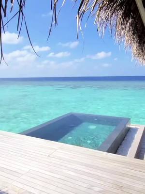 A post by @wingspirits on TikTok caption: Have you ever seen such a dreamy spa?😍 #maldives #spa #pool #travel @dreamytravels_ig