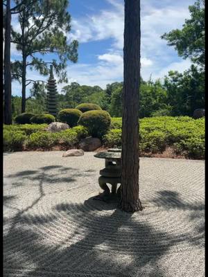 A post by @the_blumencranz on TikTok caption: #florida #delraybeach #plants #bonsai #trees #japanese #japantiktok #japanesegarden #bonsaiart #Outdoors #fyp #tiktok #gardening #garden #museum #Outdoors #zen #zengarden